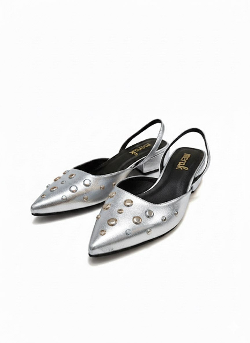 FLATS SLINGBACK AMATISTA PLATEADA