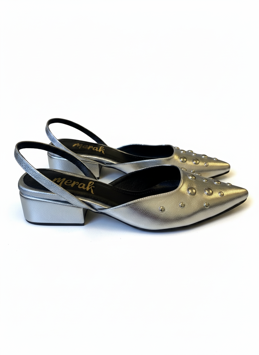 FLATS SLINGBACK AMATISTA PLATEADA